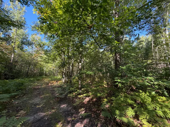 S Aldrich Rd, Pickford, MI 49774