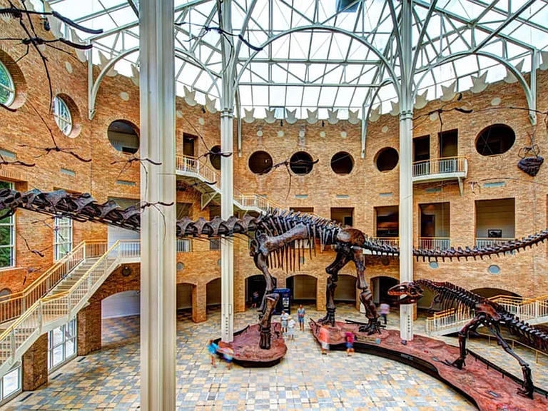 Atlanta Fernbank Museum Of Natural History