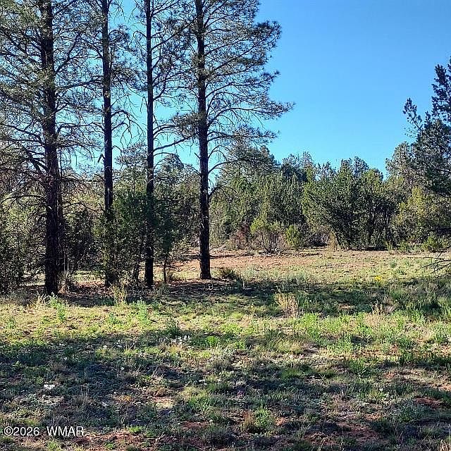 1st image of 3120-3122 Whitetail Way