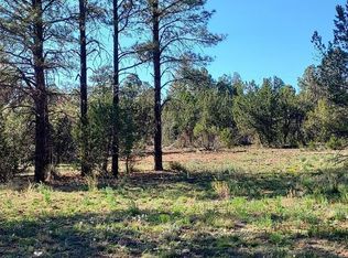 3120-3122 Whitetail Way, Overgaard, AZ 85933