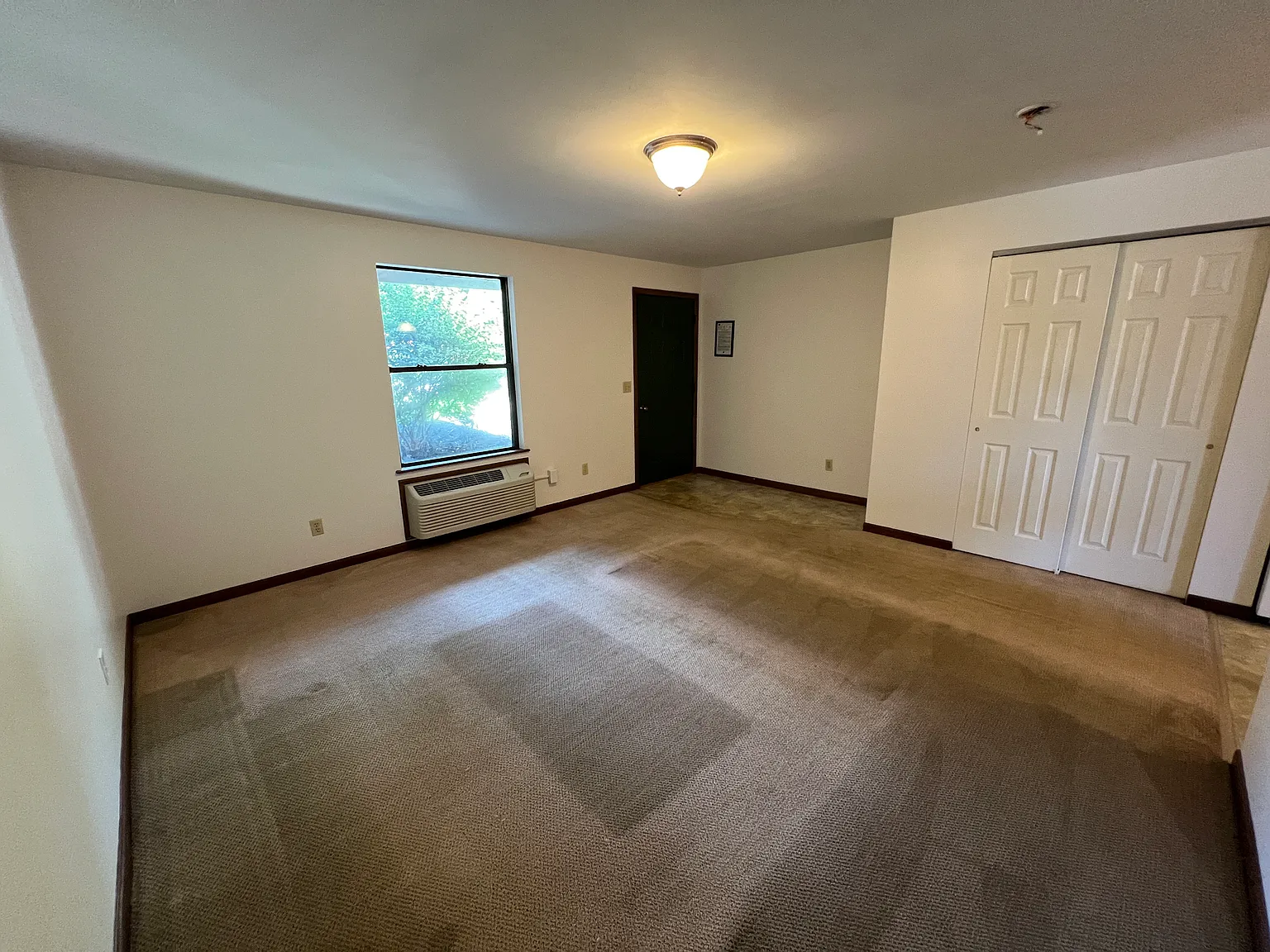 Studio, 520 sqft, $910 — Photo 4