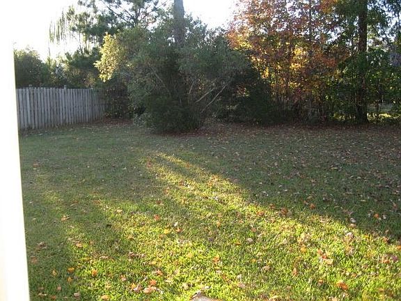 Back yard left side