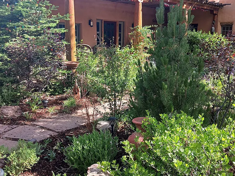519 La Lomita Rd — Photo 19