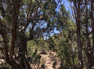 19A Corazon De Oro, Cerrillos, NM 87010