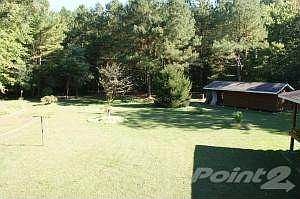 back yard2