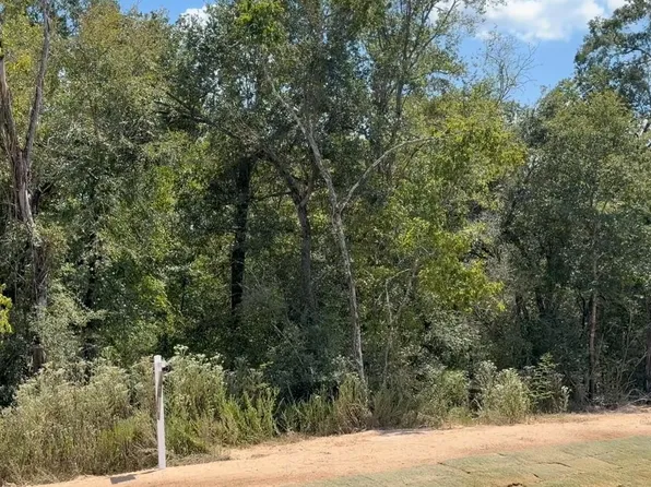 9734 Lakeside Oaks Dr, Plantersville, TX 77363