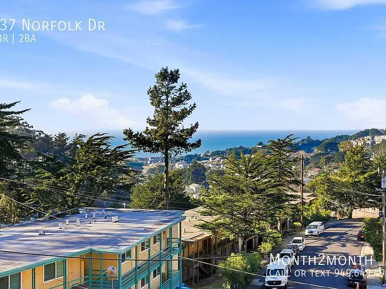 437 Norfolk Dr — Photo 111