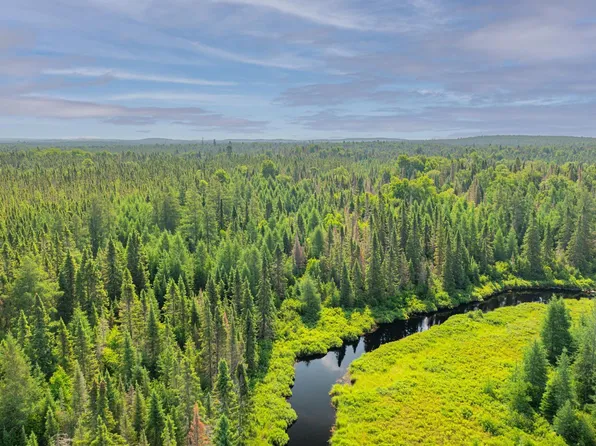 8364 E General Grade Rd, Finland, MN 55603