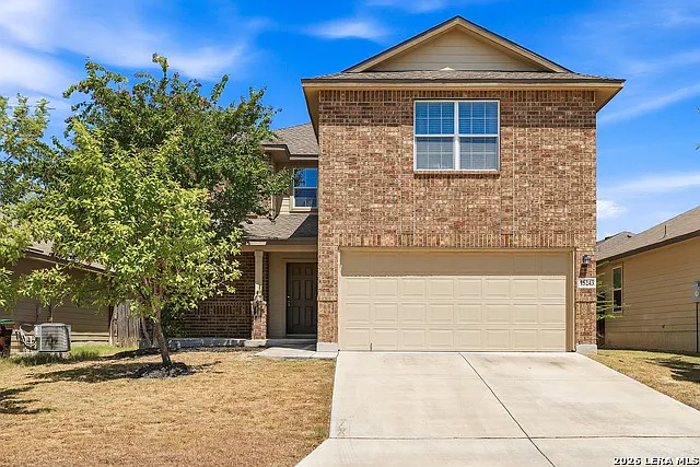 15243 Cinnamon Teal
