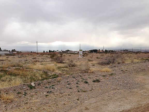 4th image of Oquendo-bronco