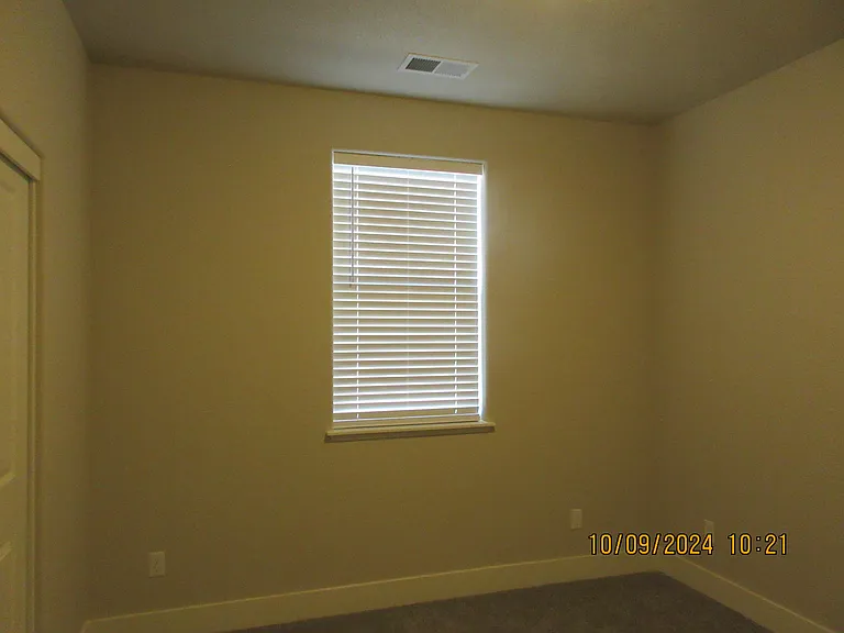 318 Cattail Cir — Photo 3