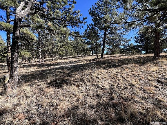 4th image of 2712 Osage Trail