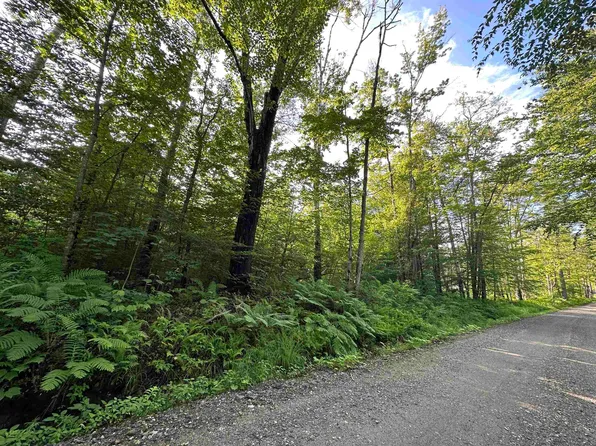 1995 Back Windham Road, Townshend, VT 05353