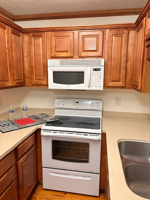 517 Palomar Dr — Photo 3