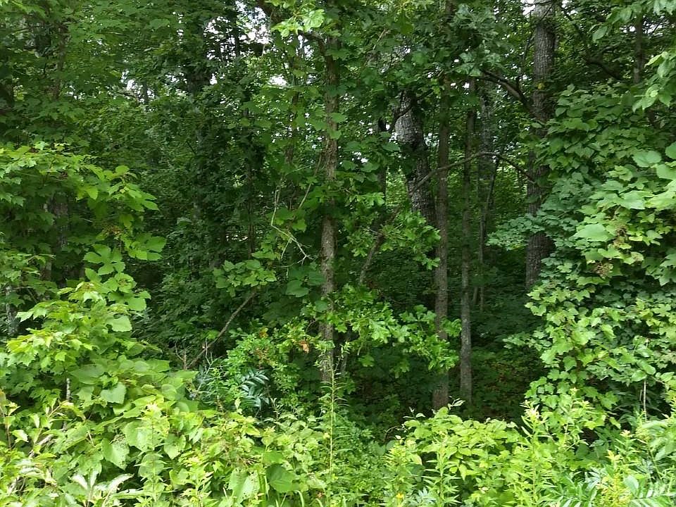 1st image of 9211 Hondo Dr