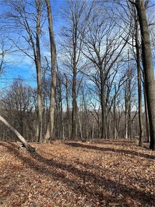  Birch Terrace, Pawling, NY, 12564
