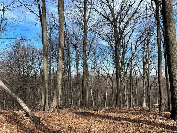 Birch Terrace, Pawling, NY 12564