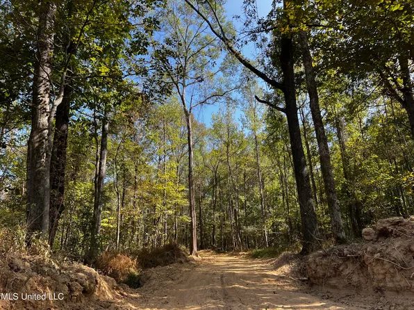 Hargon Rd, Camden, MS 39045