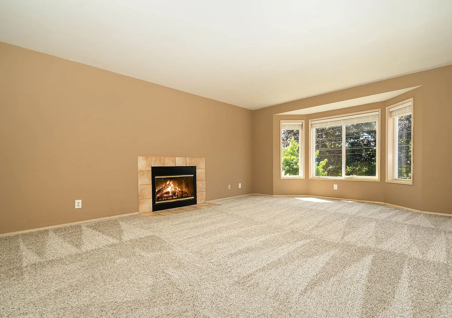 3Bd/3.25Ba Seattle Home — Photo 4