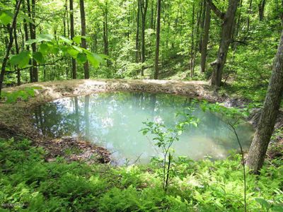 Tbd Woolwine Hwy, Floyd, VA, 24091