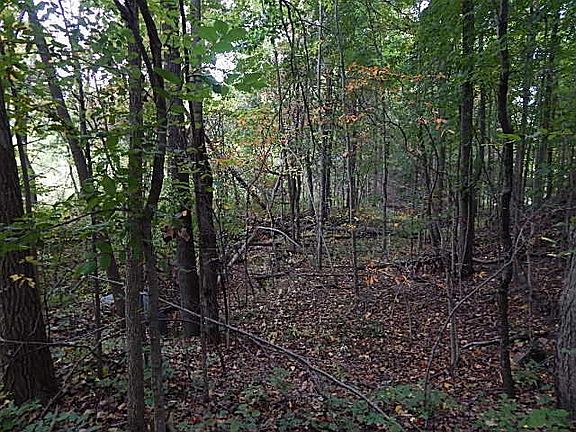 5th image of 10385 White Pine Hwy