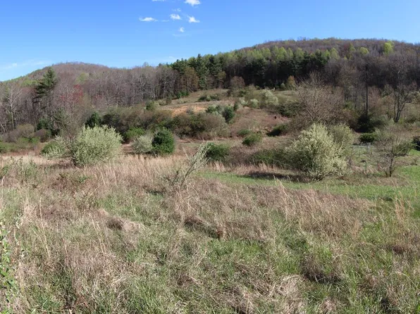 0 Burnett Rd SW, Meadows Of Dan, VA 24120