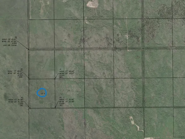 L 5 Kobe Ag Rd, Anderson, AK 99744