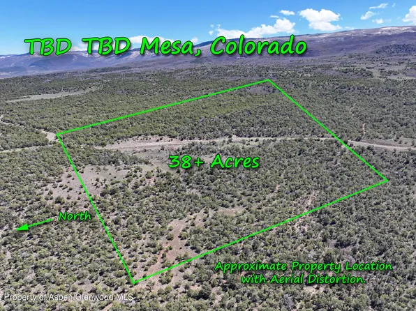 Tbd Tbd, Mesa, CO 81643