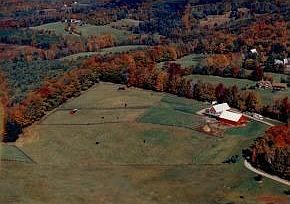 Open Meadows