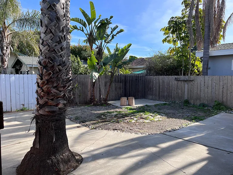Back yard area