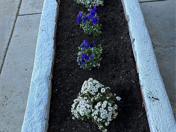 3rd image of 1380 Indian Sage Rd