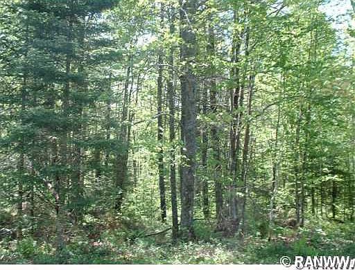 2nd image of 0 Luds Ln & Blaisdell Lake Road