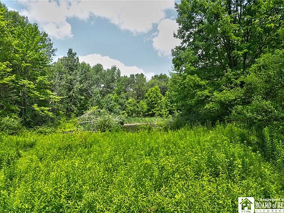 18th image of 7034 Phelps Rd Lot 43