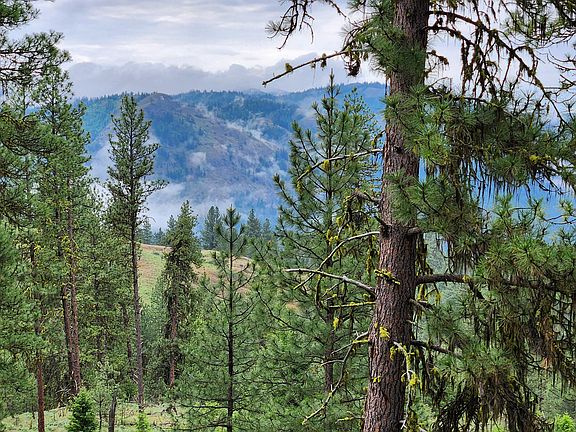 5th image of Gold Mountain Rd Lot 74 & 75