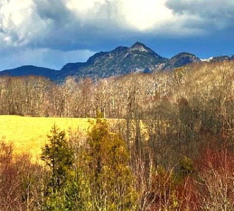 4th image of 38 Trout Rd