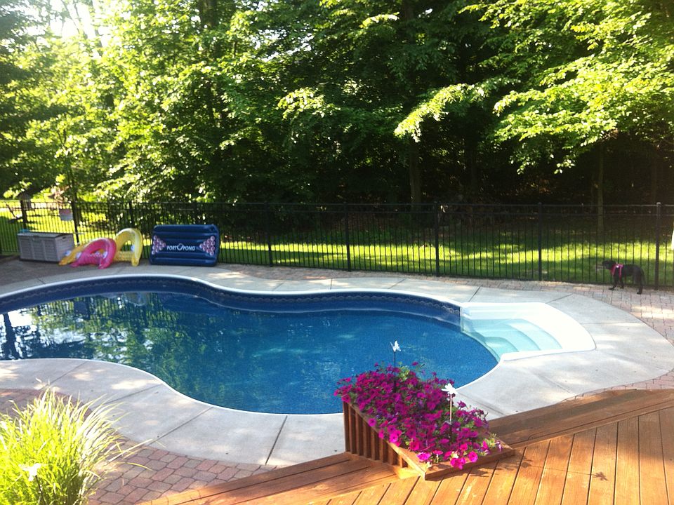 wooded reserve behind pool