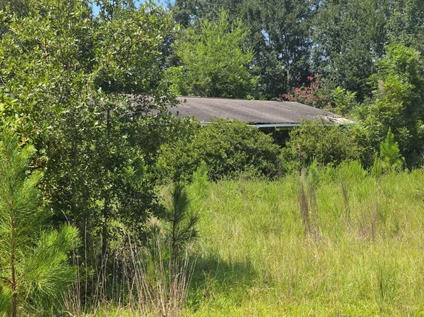 159 Grimsley Rd, Colquitt, GA 39837