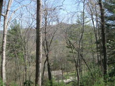 12 Tusquittee Laurel Cv, Hayesville, NC, 28904