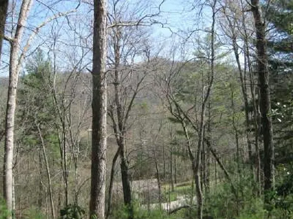 12 Tusquittee Laurel Cv, Hayesville, NC 28904