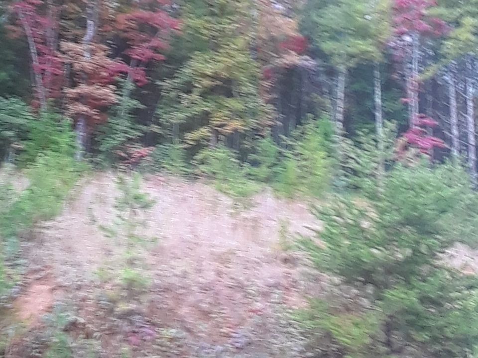 More pics coming soon