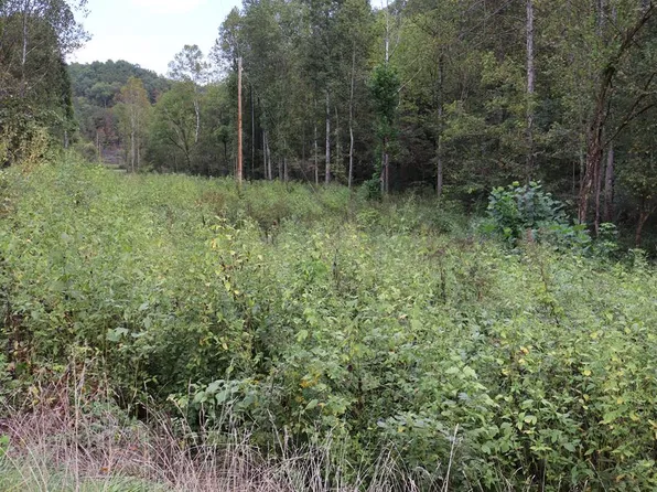 0 Route 7, Royalton, KY 41464