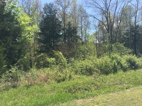 0 McFall Rd, Palmyra, TN 37142