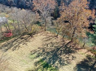 7445 Elk River Rd, Frametown, WV 26623