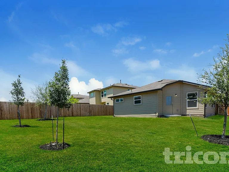 15406 Shortwing — Photo 14