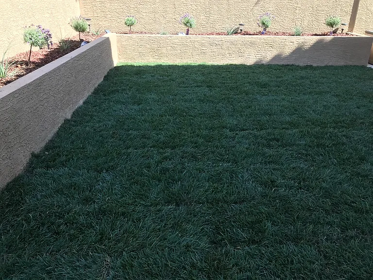 10144 Pinnacle View Pl — Photo 42