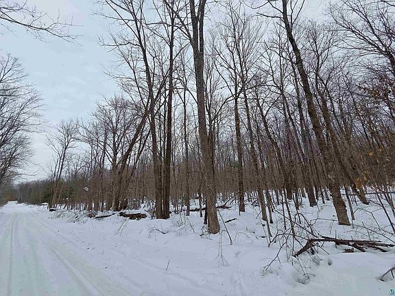 5th image of 12 Olson Rd