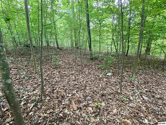 3rd image of 786 Center Ridge Ct Lot 786
