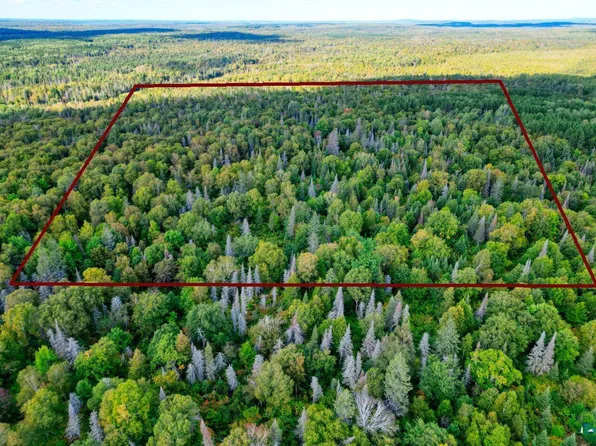 Forest Rd #406, Brimson, MN 55602
