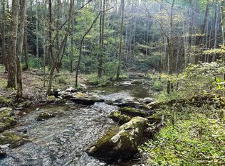 Ivy Trl, Tellico Plains, TN 37385