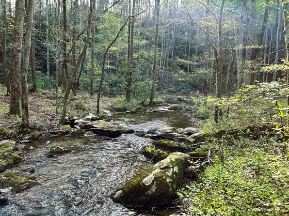 Ivy Trl, Tellico Plains, TN 37385